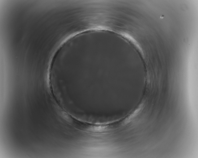 X0000089761278200706211537