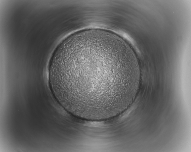 X0000089761280200706211537