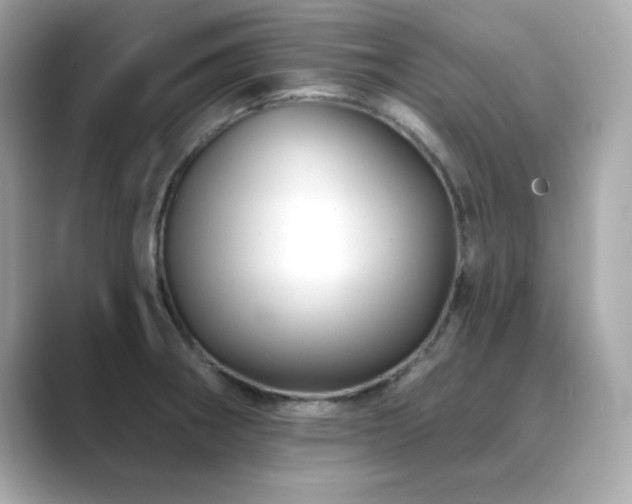 X0000089761282200706211537