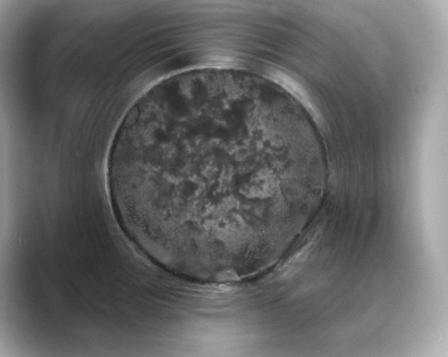 X0000089761283200706211537