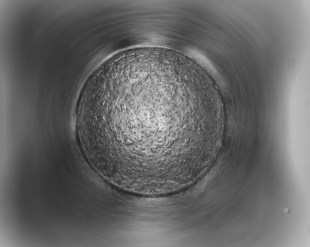 X0000089761284200706211537