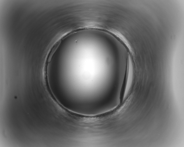 X0000089761285200706211537