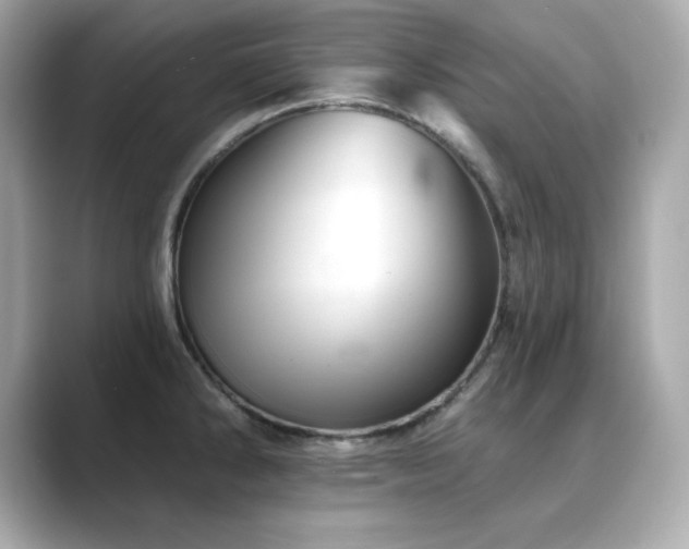 X0000089761286200706211537
