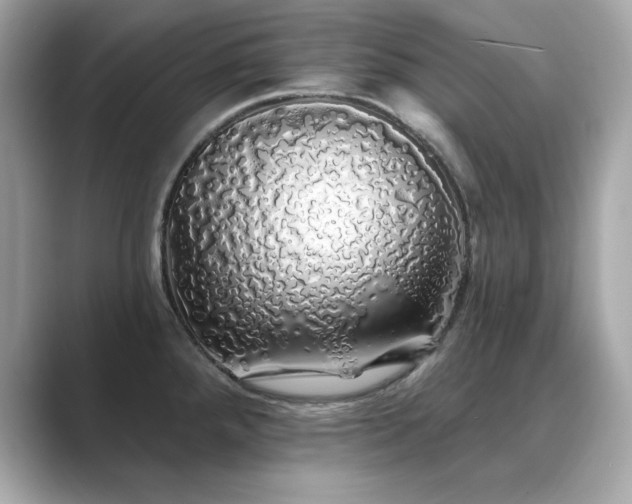 X0000089761288200706211537