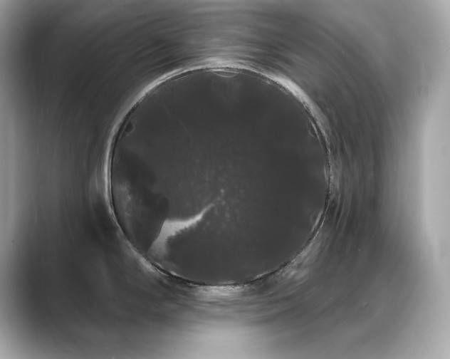 X0000089761294200706211537