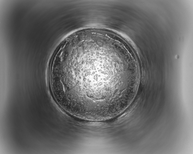 X0000089761295200706211537