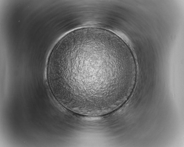X0000089761296200706211537