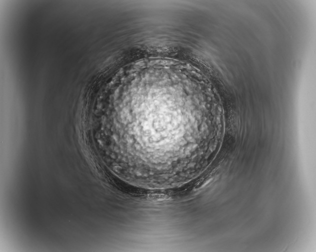 X0000089761297200706211536