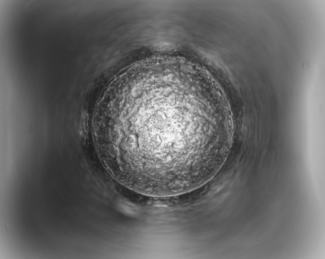 X0000089761301200706211536
