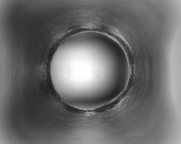 X0000089761304200706211536