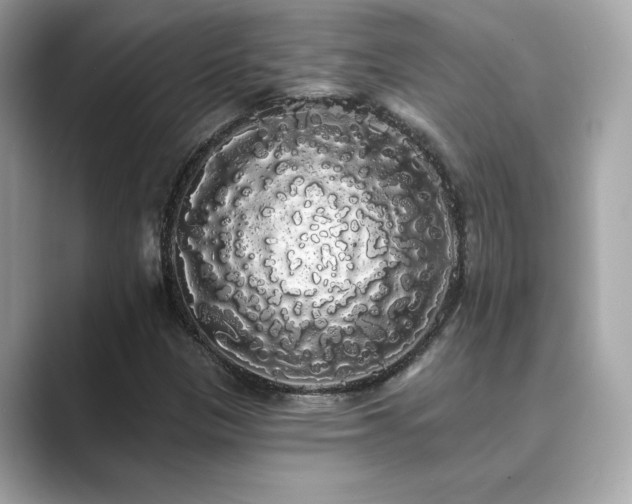 X0000089761305200706211536