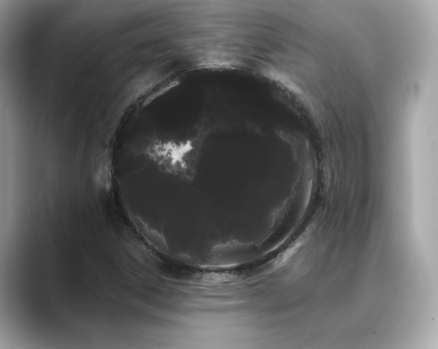 X0000089761306200706211536
