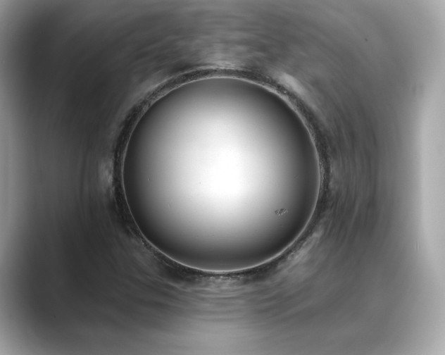 X0000089761307200706211536