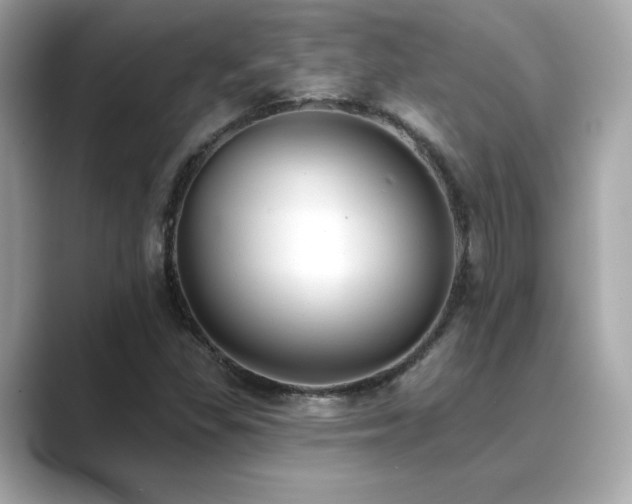 X0000089761309200706211536