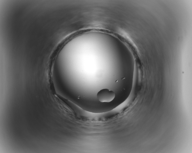 X0000089761312200706211536