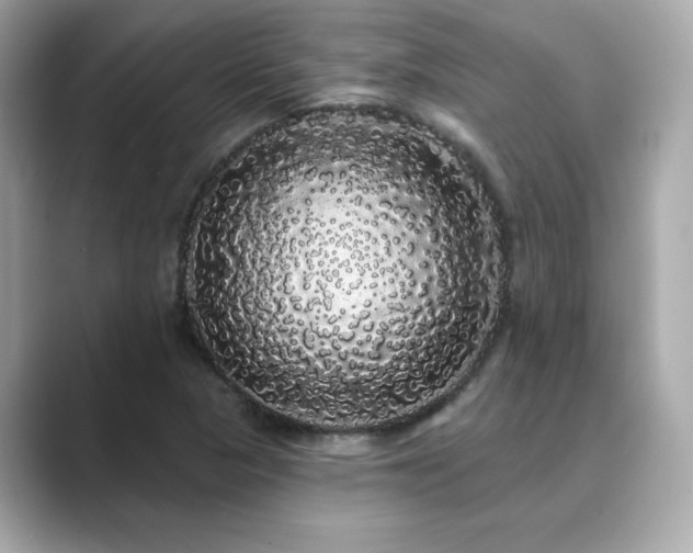 X0000089761313200706211536