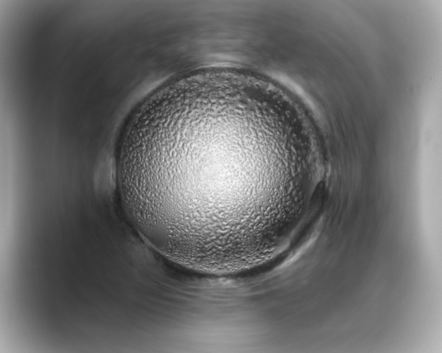 X0000089761317200706211536