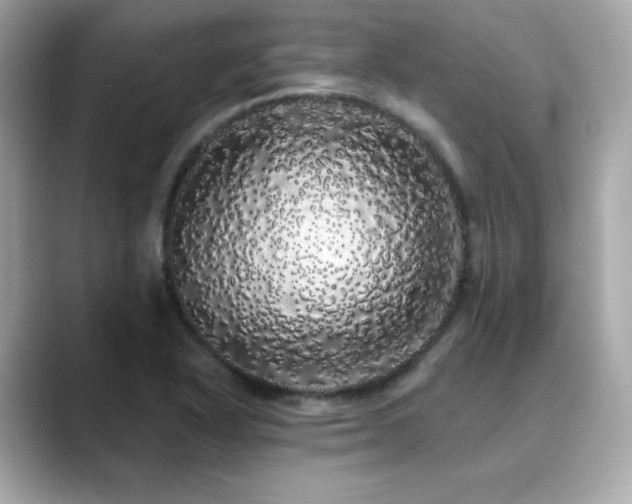 X0000089761318200706211536