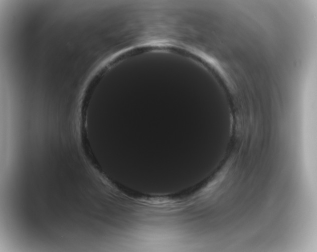 X0000089761319200706211536