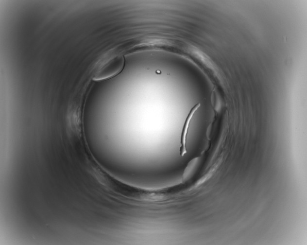 X0000089761321200706211536