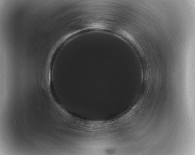 X0000089761323200706211536