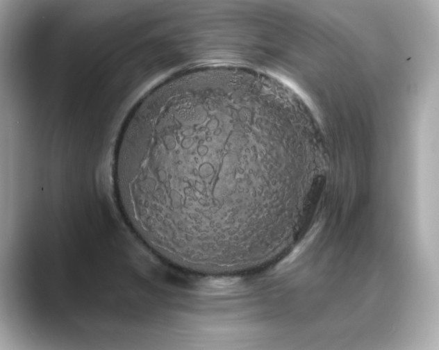 X0000089761325200706211536