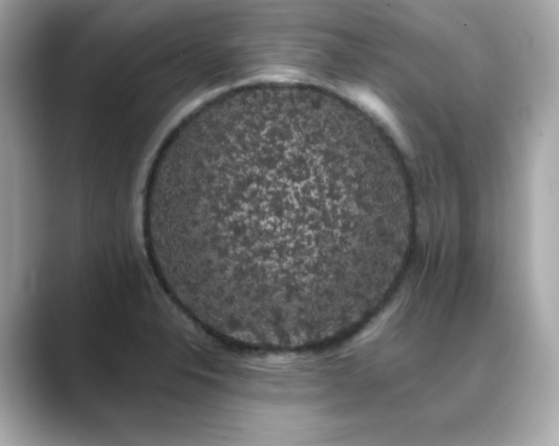 X0000089761326200706211536