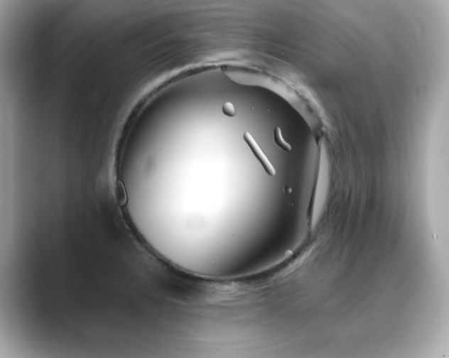 X0000089761328200706211536