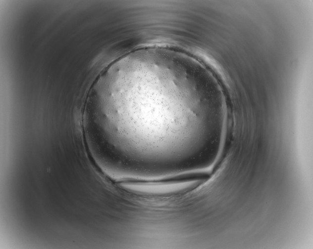 X0000089761329200706211536