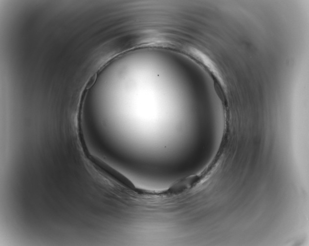 X0000089761330200706211536