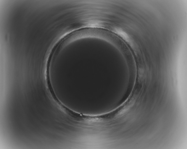 X0000089761331200706211536