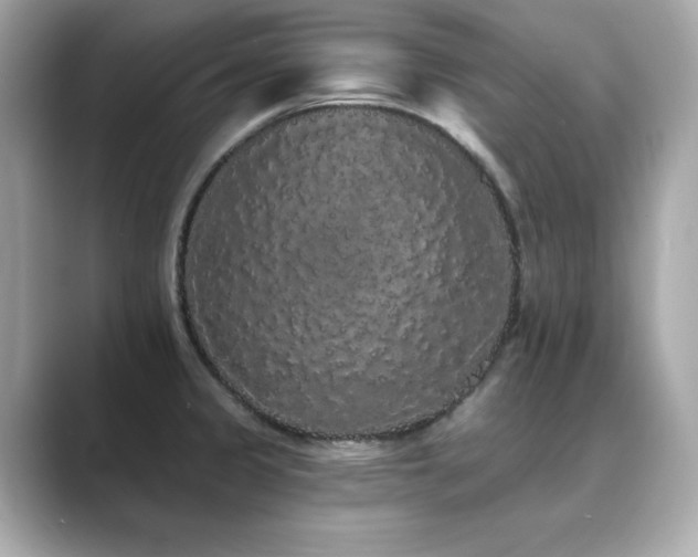 X0000089761333200706211536