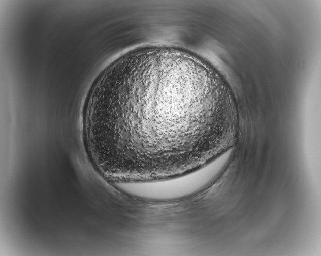 X0000089761335200706211536