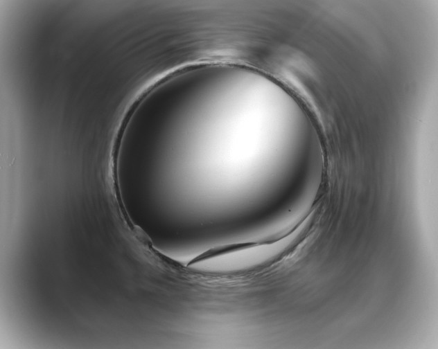 X0000089761336200706211536