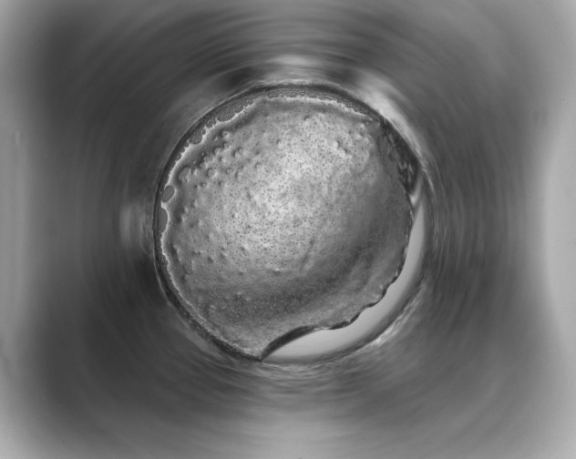 X0000089761337200706211537
