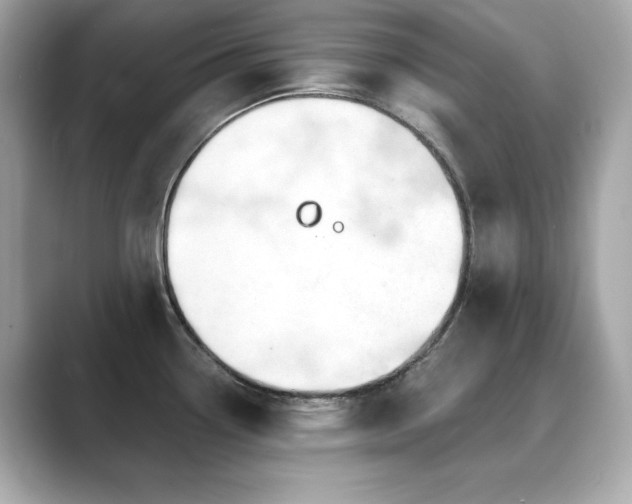 X0000089761338200706211537