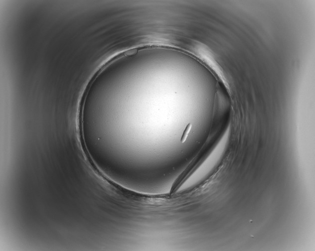 X0000089761339200706211537