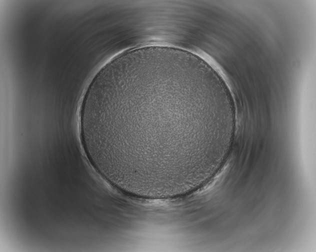 X0000089761341200706211537