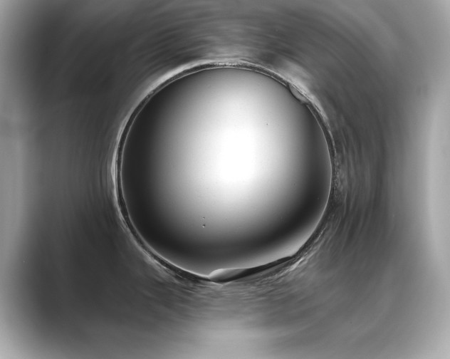 X0000089761343200706211537