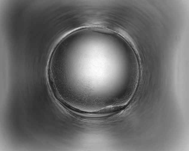 X0000089761344200706211537