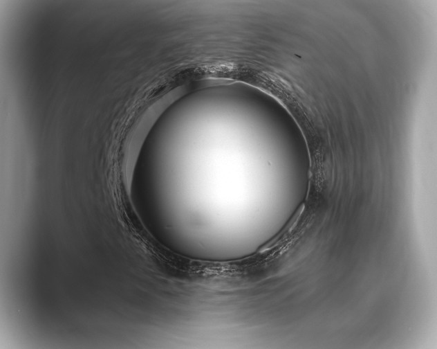 X0000089761345200706211536