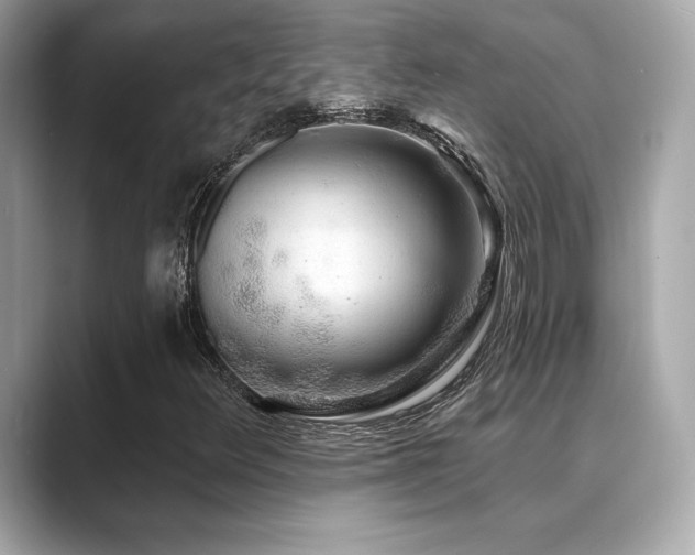 X0000089761348200706211536