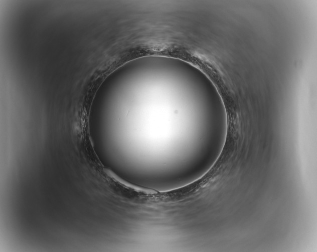 X0000089761349200706211536