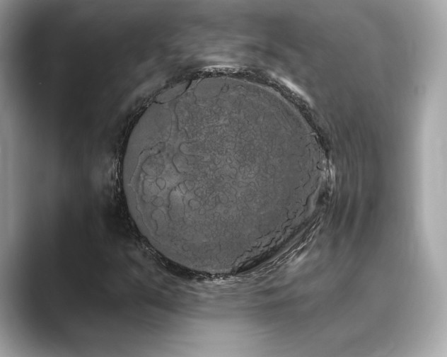X0000089761351200706211536