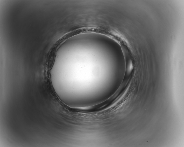 X0000089761352200706211536