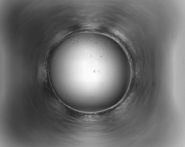 X0000089761354200706211536