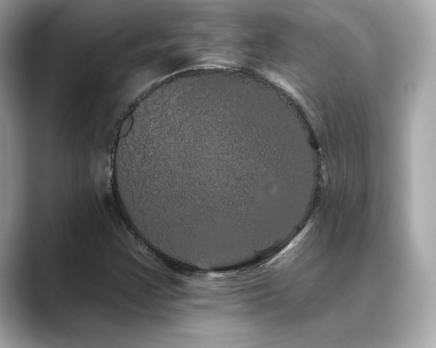 X0000089761355200706211536