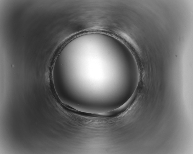 X0000089761356200706211536