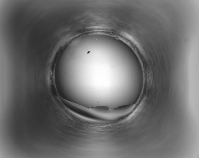 X0000089761357200706211536