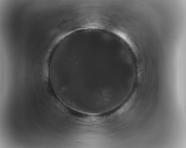 X0000089761358200706211536